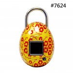 Bio-Key TouchLock Fingerprint Smart Padlock QL - Quail Egg Shape
